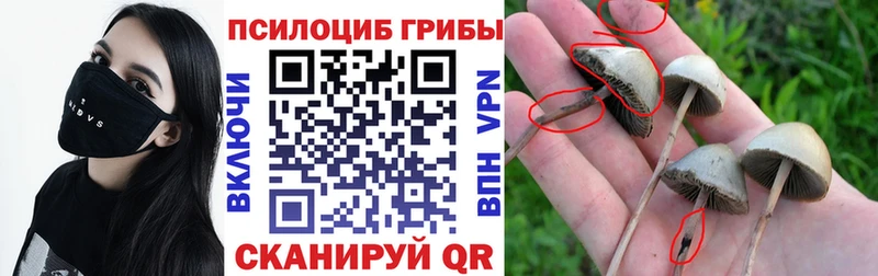 Галлюциногенные грибы MAGIC MUSHROOMS  Староминская 